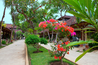 Similar image 716303