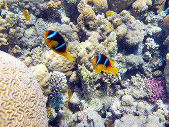 Similar image 716769