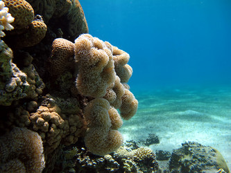 Similar image 716770