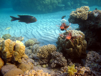 Similar image 716772