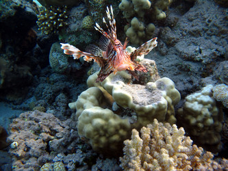 Similar image 716773