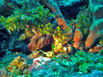 Similar image 716795