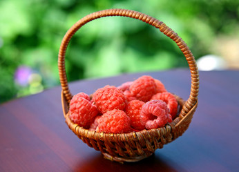 Similar image 716872