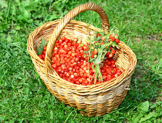 Similar image 716873