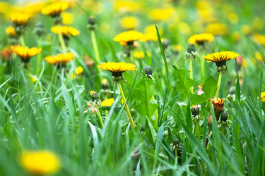 Similar image 717078