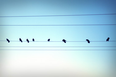 Similar image 717080