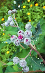 Similar image 717086