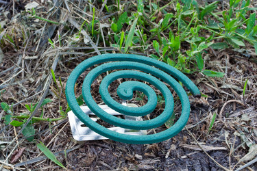 Similar image 717215