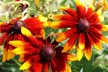 Similar image 717251