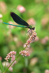 Similar image 717309