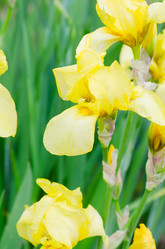 Similar image 717609