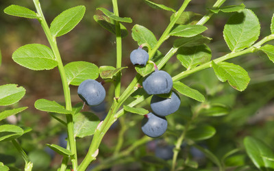 Similar image 717671