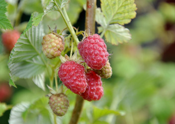 Similar image 717778