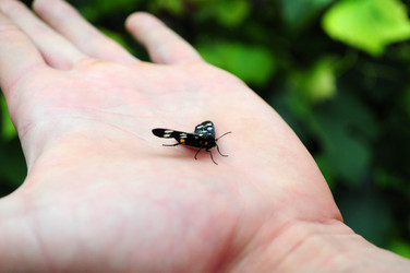 Similar image 717972