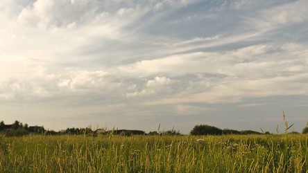 Similar image 718090