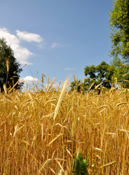 Similar image 718456