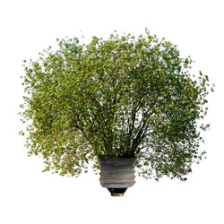 Similar image 718597