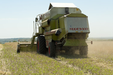 Similar image 718864