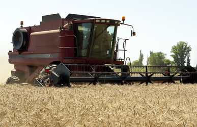 Similar image 718869