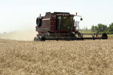 Similar image 718871