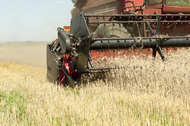 Similar image 718873