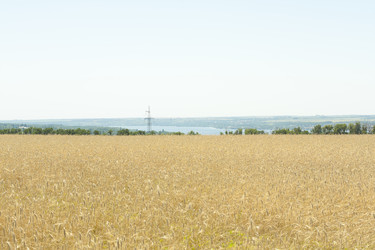 Similar image 718877