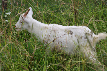 Similar image 718885