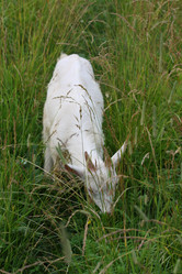 Similar image 718886