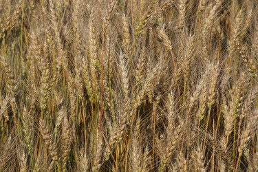 Similar image 718889