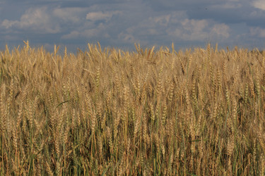 Similar image 718891