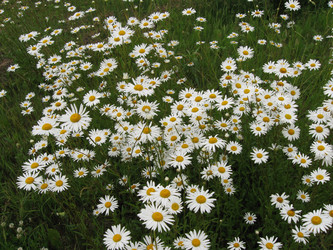 Similar image 718920