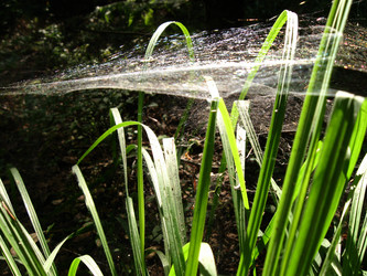 Similar image 718924