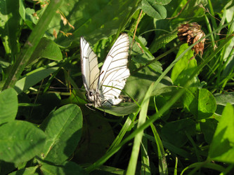 Similar image 718926