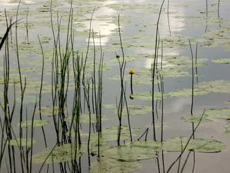 Similar image 718931