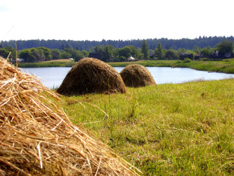 Similar image 718934