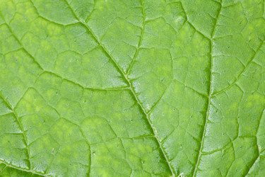 Similar image 718943