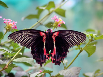 Similar image 719031