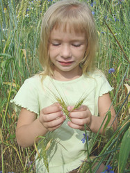 Similar image 719061