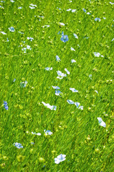 Similar image 719138