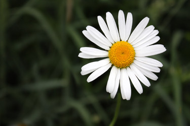 Similar image 719196