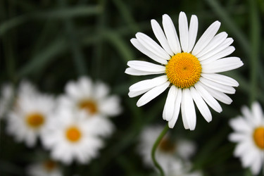 Similar image 719197