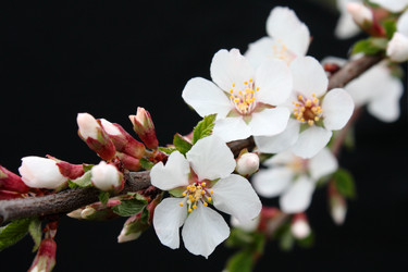 Similar image 719201