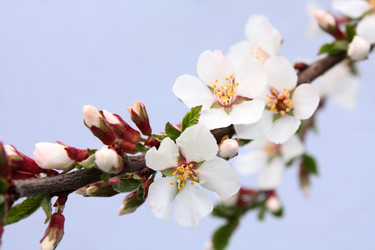 Similar image 719203