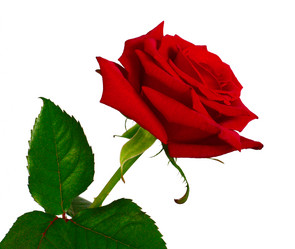 Similar image 719205