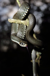 Similar image 719224