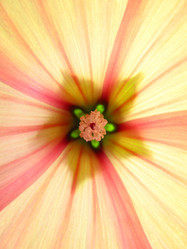 Similar image 719235