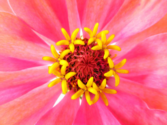 Similar image 719238