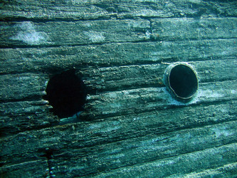 Similar image 719398