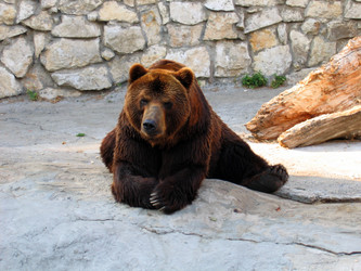 Similar image 719406