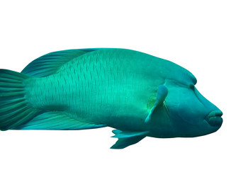 Similar image 719408